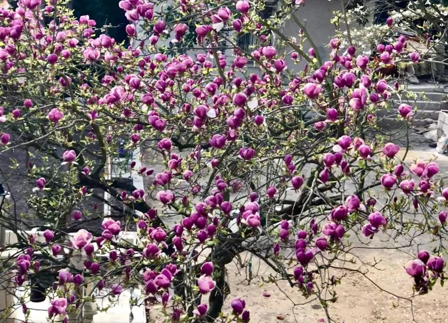 منزل للإقامة Villa Ananda Huo باريس فرنسا